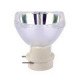 10R-LAMP SOUNDSATION