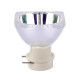 10R-LAMP SOUNDSATION