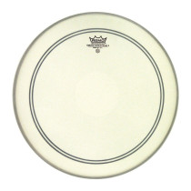 P3-1118-C2- REMO