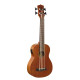 U-BASS 200E SOUNDSATION