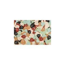 1987351900 FENDER