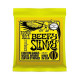 P02627 ERNIE BALL