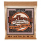 P02143 ERNIE BALL