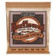 P02145 ERNIE BALL