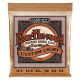 P02145 ERNIE BALL