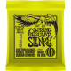 P02621 ERNIE BALL