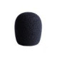 LCTWSXS LEWITT