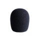 LCTWSXS LEWITT