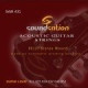 SAW431 SOUNDSATION
