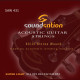 SAW431 SOUNDSATION