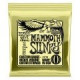 P02214 ERNIE BALL