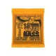 P02838 ERNIE BALL