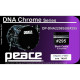 DP-DNA2208SUB#295 PEACE