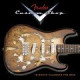 9190190000 FENDER