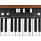 DK61