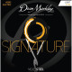 Corde Elettrica Signature Light 9-42