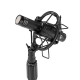 WA-84 Black