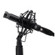 WA-84 Black