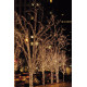 LED Rubber String Light WW 100 LED/10M/Distanza fra i LED 10cm
