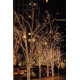 Stringa di luce statica a LED in gomma WW