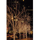 Luce FX a LED in gomma WW