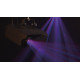 Dataflower LED Effetto luce