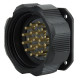 Socapex 19-pin male Chassis Connector