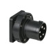 CEE 63 A/400 V 5-pin Socket male Nero - IP67