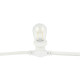 Festoon Light E27