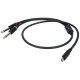 FL111 - Da USB-C a 2 jack mono L/R