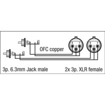 FL25 - 2 RCA male L/R to 2 XLR/F 3P 1,5 m
