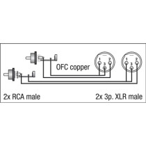 FL26 - 2 RCA male L/R to 2 XLR/M 3P