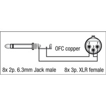 FL61 - 8 XLR/F 3P to 8 Jack mono 3 m