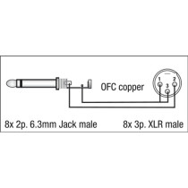 FL62 - 8 XLR/M 3P to 8 Jack mono 3 m