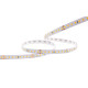 Cartago Ribbon - 3000 K - IP20