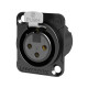 Telaio XLR 3P, femmina