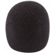 WINDSCREEN BLACK