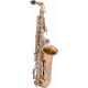 VSM A620-II Sax 600 Contralto
